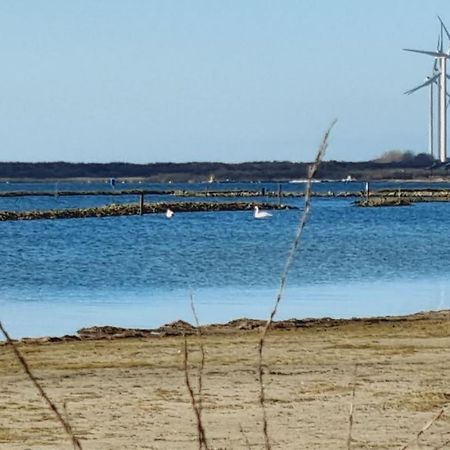 Beach Lodges Oostvoorne Extérieur photo